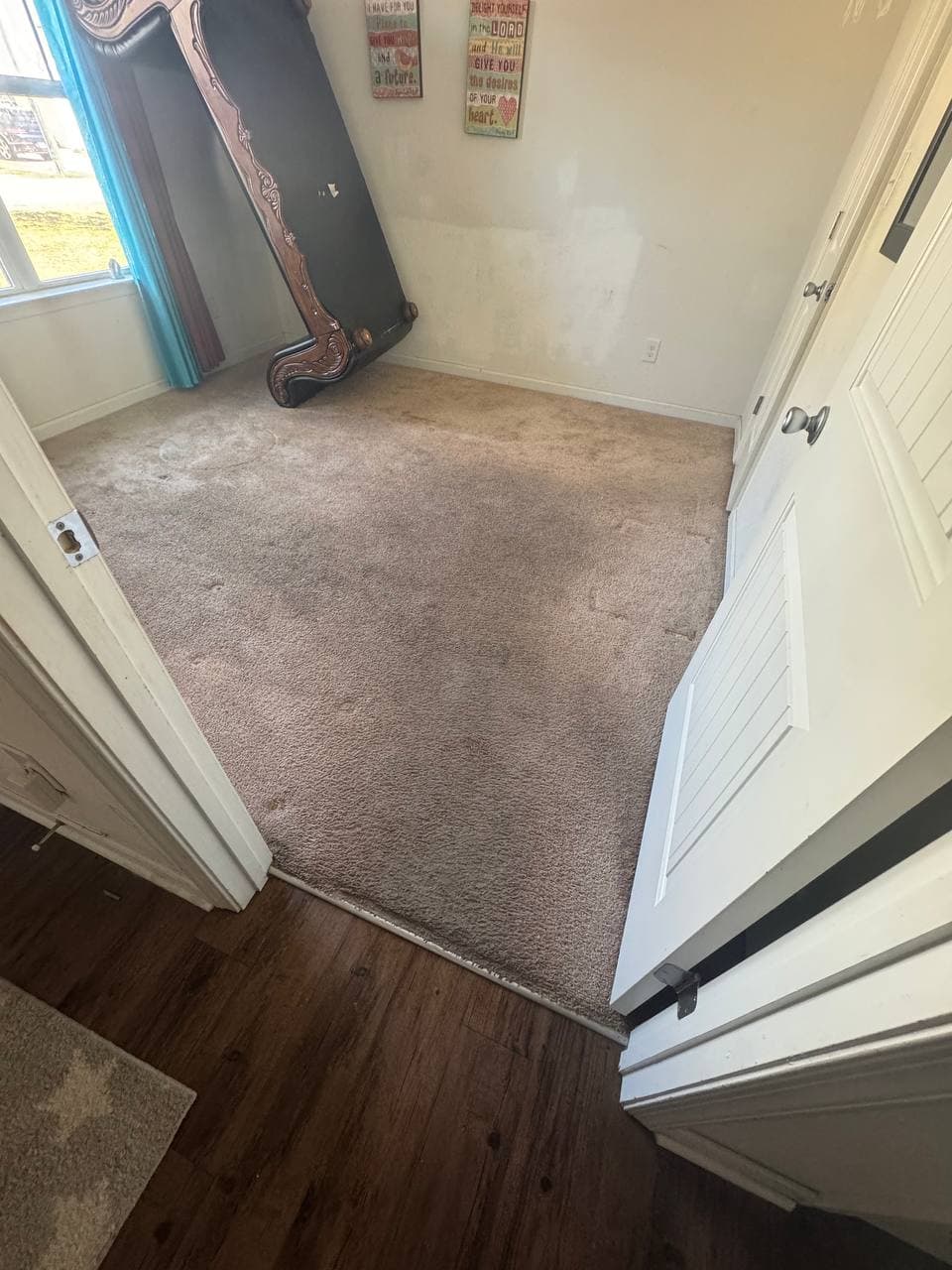 Before and after upholstery cleaning before